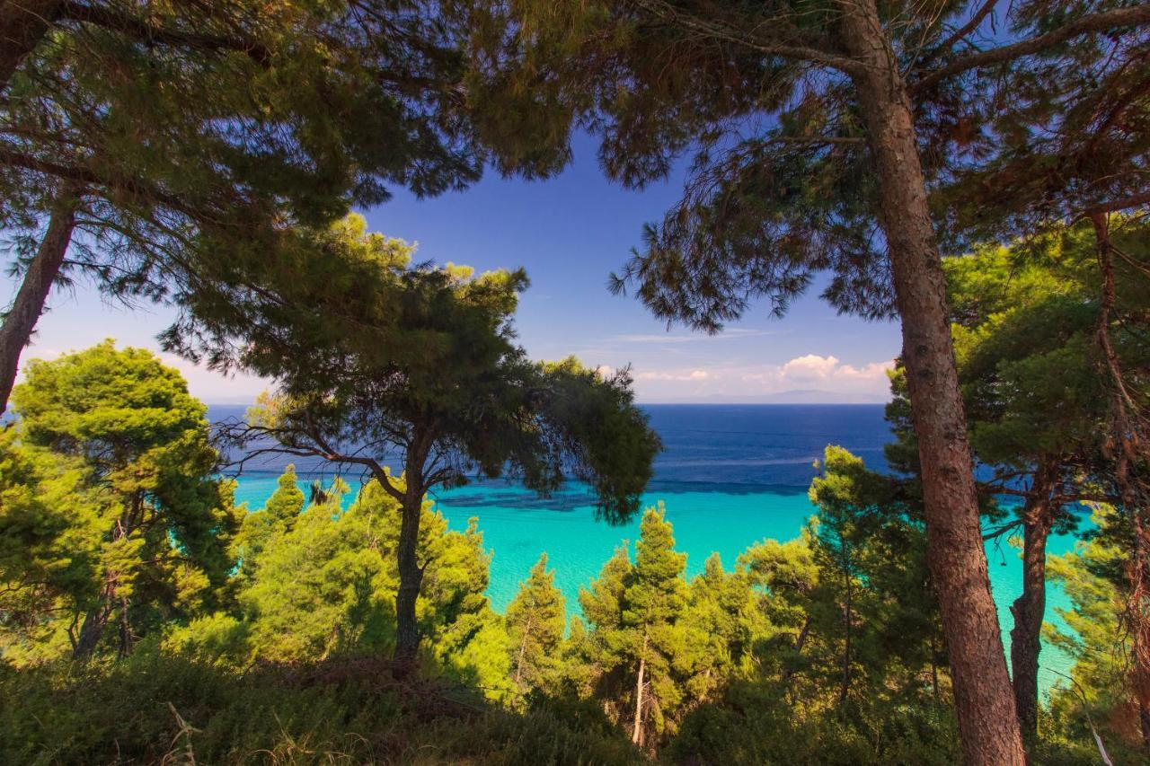 Ξενοδοχείο Ευριπίδης Άφυτος Εξωτερικό φωτογραφία